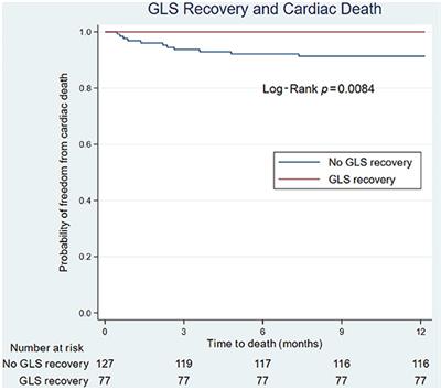Left Ventricular Mechanics Differ in Subtypes of Aortic Stenosis Following Transcatheter Aortic Valve Replacement